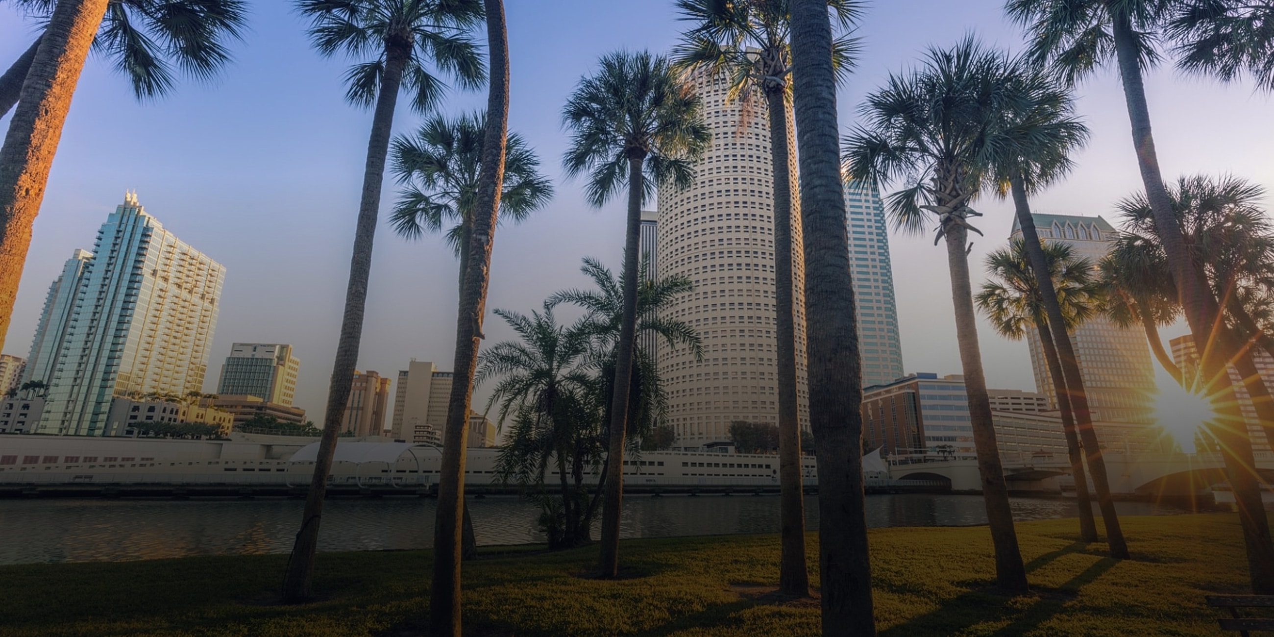 Modern skyline with palm trees at sunset.