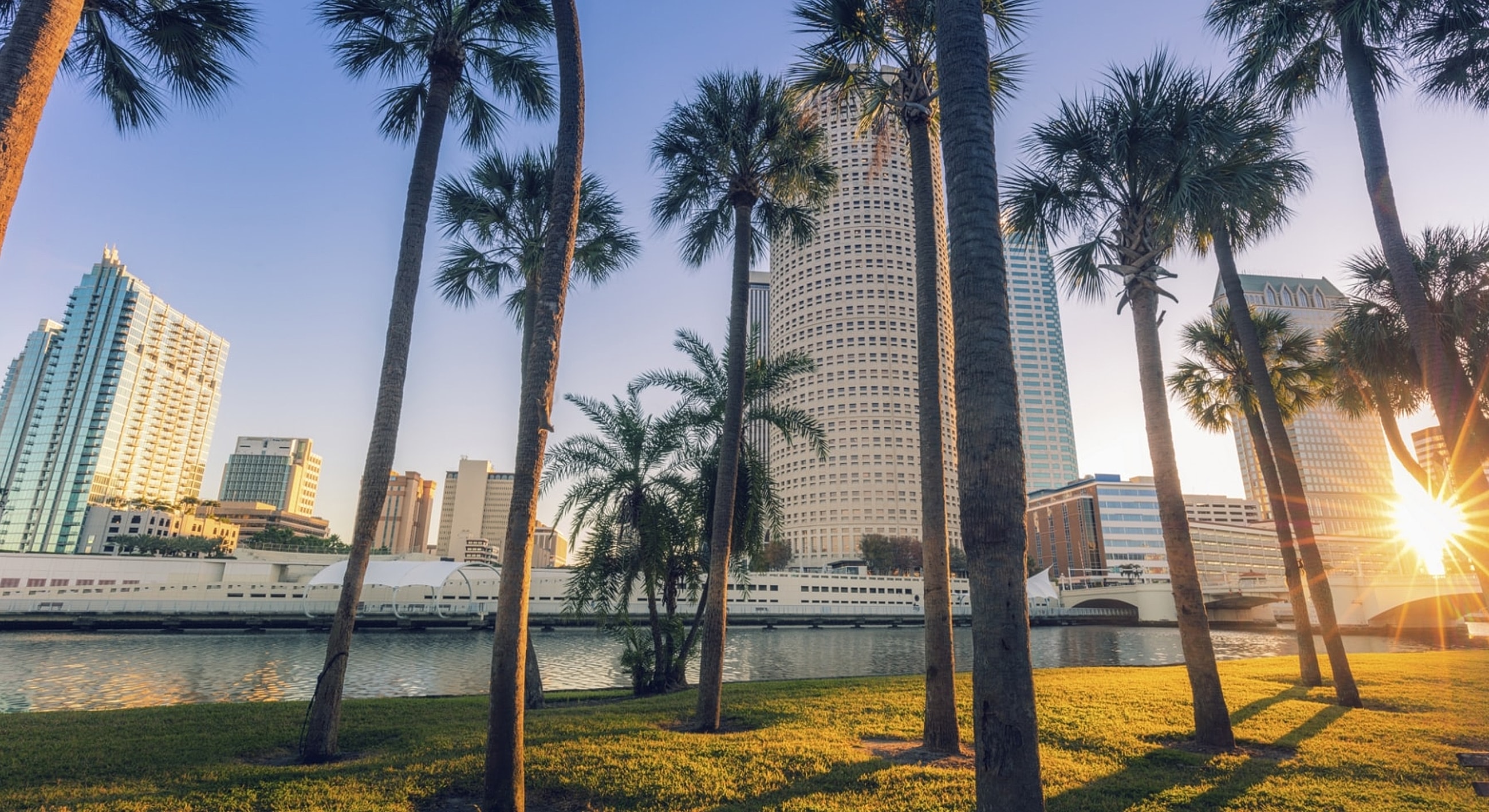 City skyline with palm trees and waterfront.